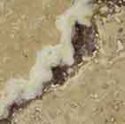 Leonardo Travertine